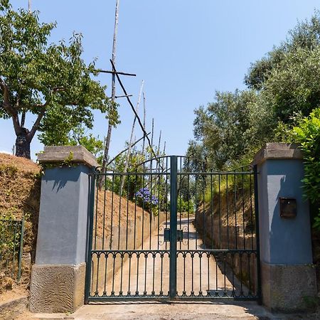 Villa Ada Сорренто Экстерьер фото